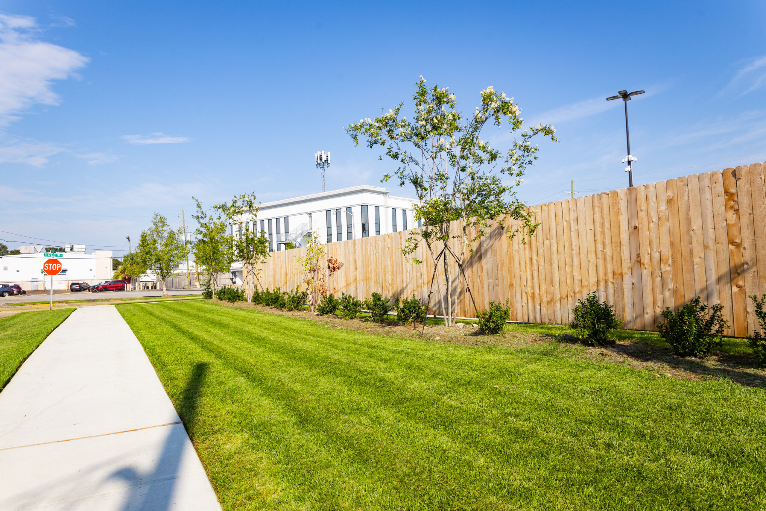Lush New Orleans landscaping