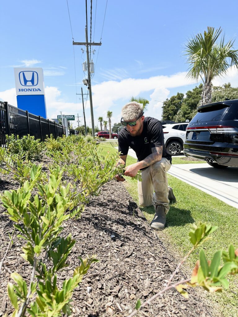 Greaux Landscaping | Commercial Landscape Installation
