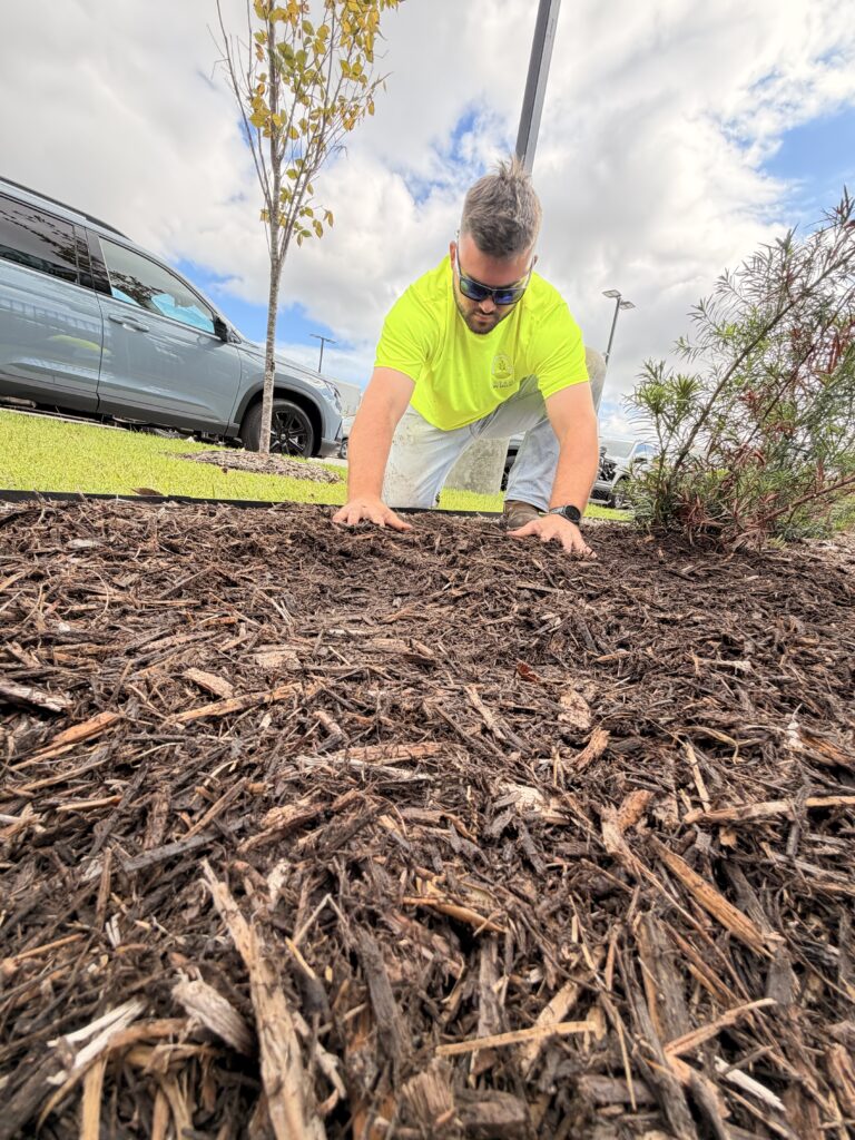 Greaux Landscaping | Mulching & Weed Control